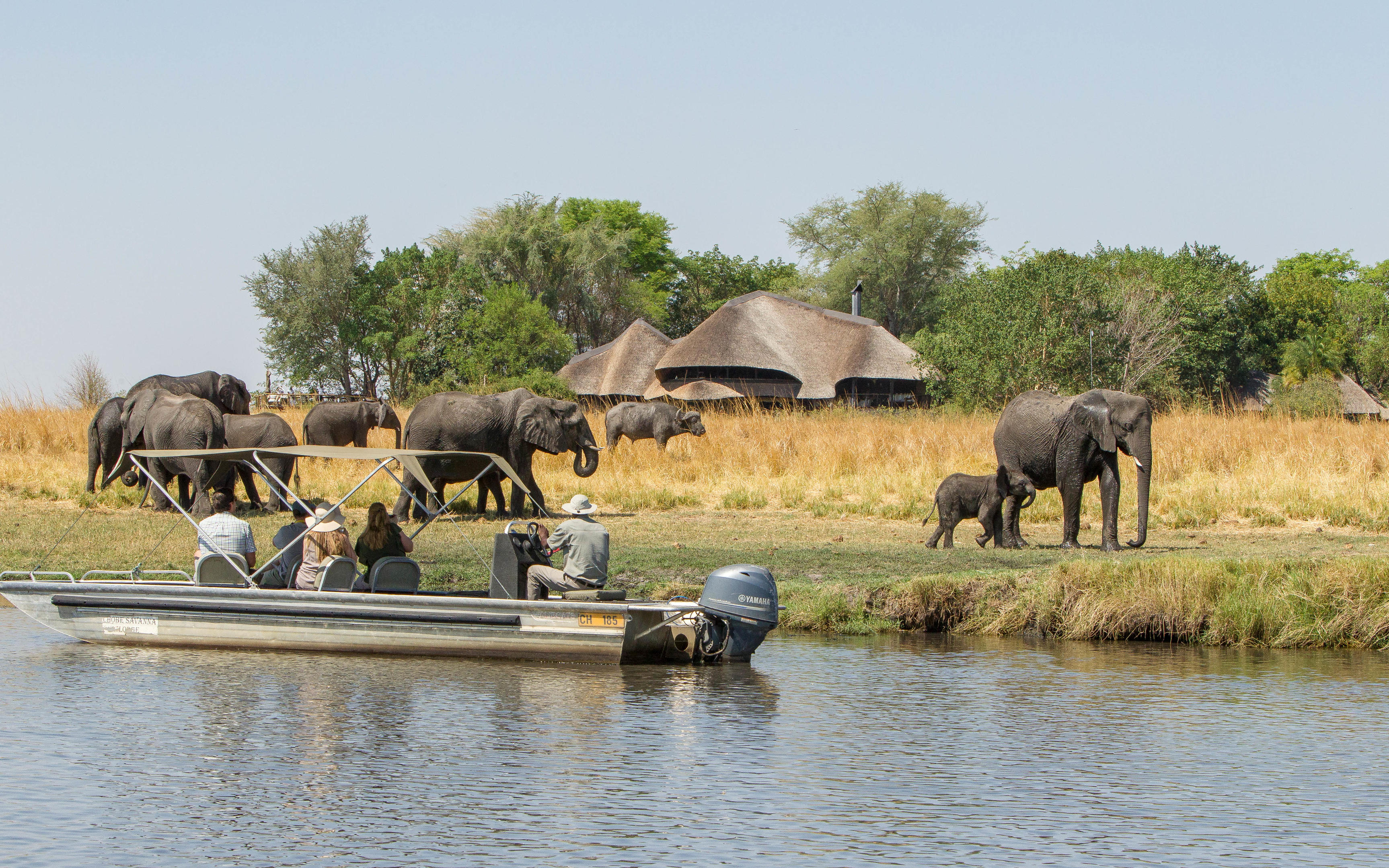 Chobe Savanna Lodge
